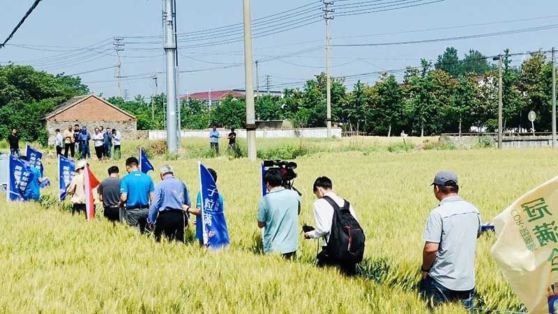 520健康植保日——擁抱綠色農業(yè)，我們在行動