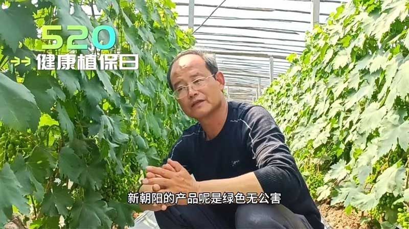 520健康植保日——擁抱綠色農業(yè)，我們在行動
