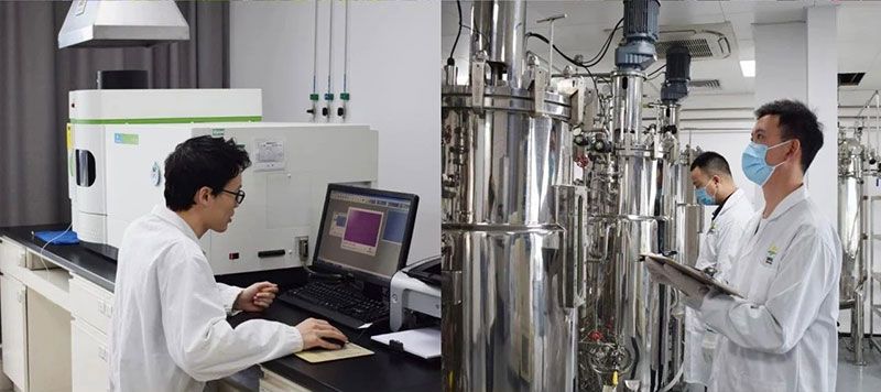 打造新朝陽生物科技“五張名片”，服務農(nóng)業(yè)高質(zhì)量發(fā)展！