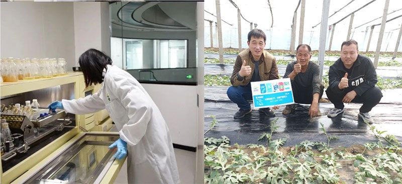 打造新朝陽生物科技“五張名片”，服務農(nóng)業(yè)高質(zhì)量發(fā)展！