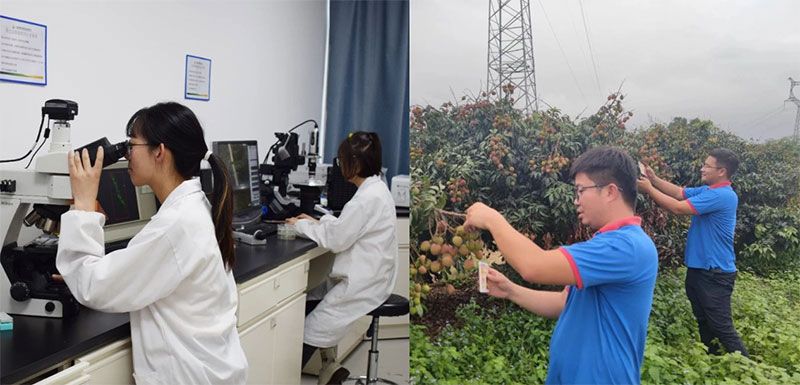 打造新朝陽生物科技“五張名片”，服務農(nóng)業(yè)高質(zhì)量發(fā)展！