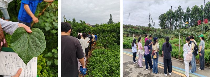 首個(gè)！中國(guó)農(nóng)業(yè)大學(xué)攜手新朝陽(yáng)啟動(dòng)“朝陽(yáng)稼穡計(jì)劃”