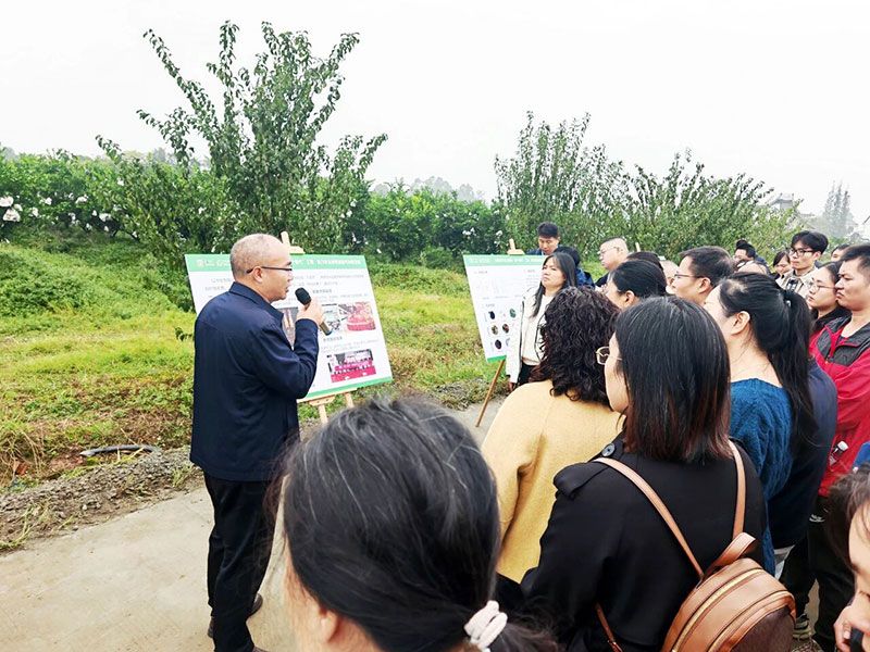 新朝陽生物技術(shù)助力綠色防控，推動(dòng)柑橘產(chǎn)業(yè)綠色高質(zhì)量發(fā)展